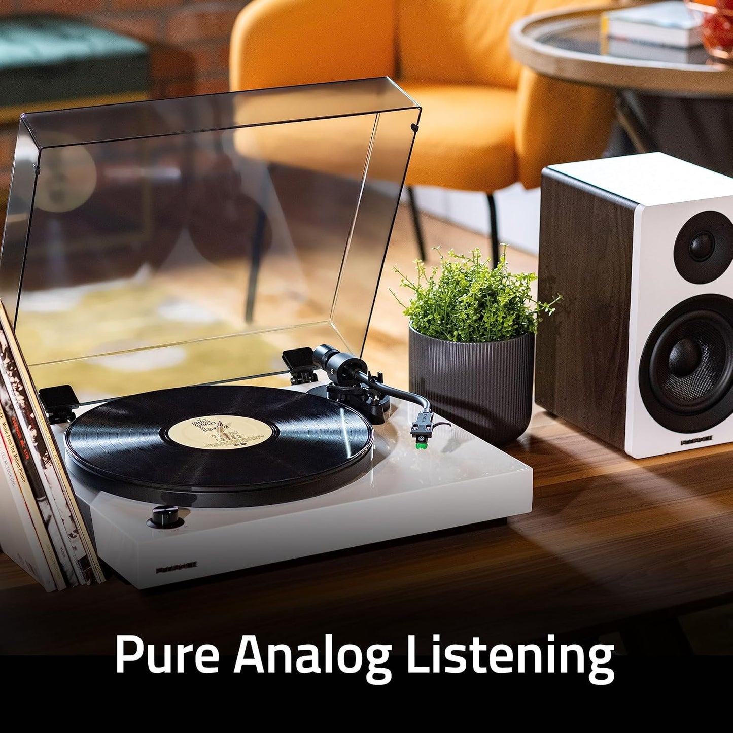 Fluance RT81 Plus Vinyl Turntable, VM95E Cartridge, Walnut