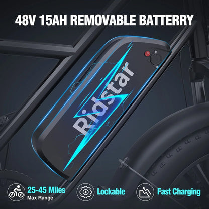 Electric Bike For Adults750W 30-70Miles 48V 15Ah Removable Battery Ebike 20 In. x 4.0 Fat Tire Beach Commuting E-Bike 2 Seater With Fork