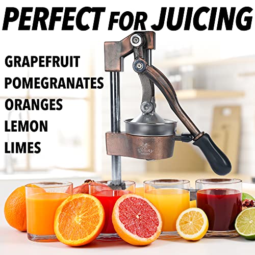 Zulay Kitchen Cast Iron Orange Juice Squeezer Heavy Duty