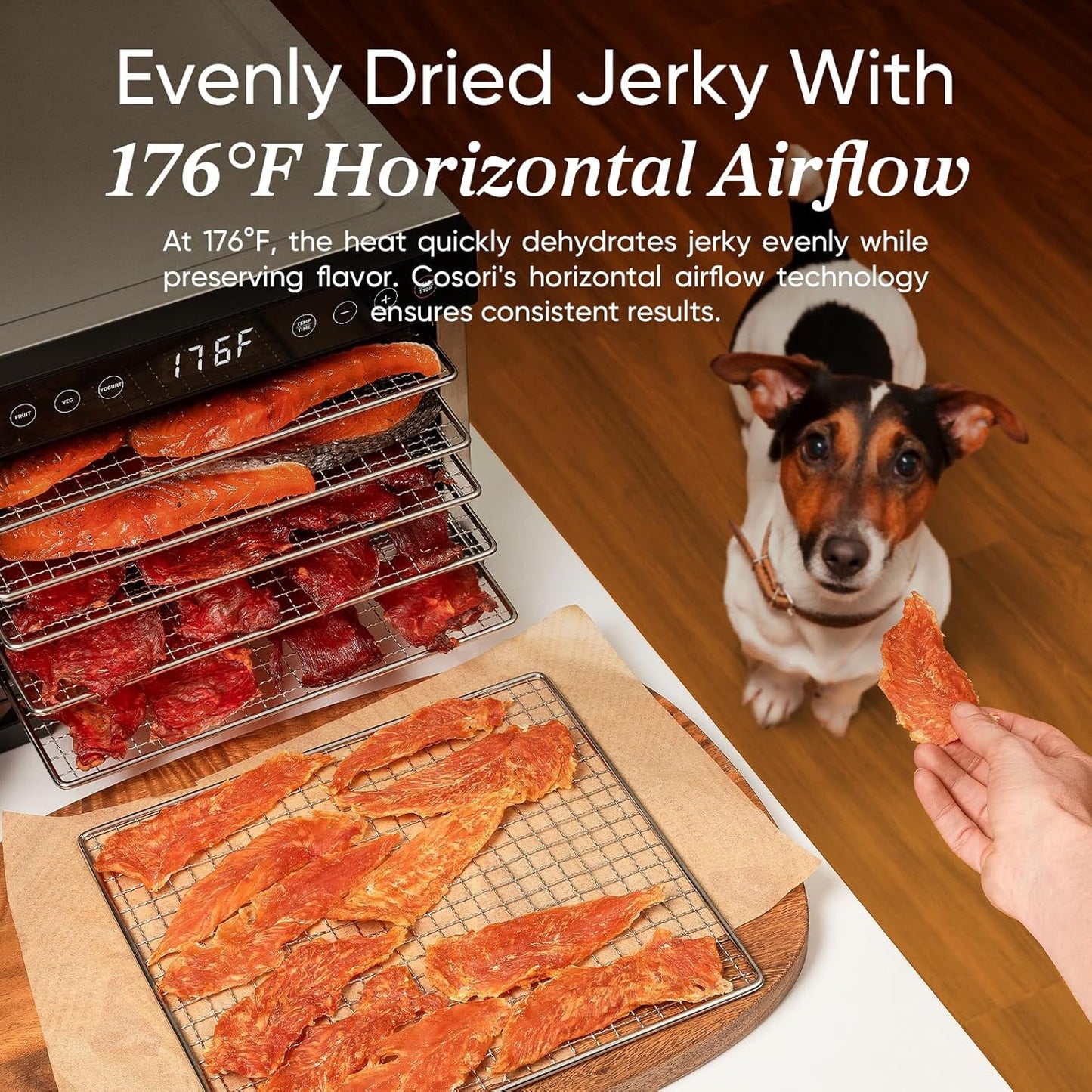 Cosori Food Dehydrator Bigger Than 7 Trays With Large 6.5 In. Drying Space 600W Power