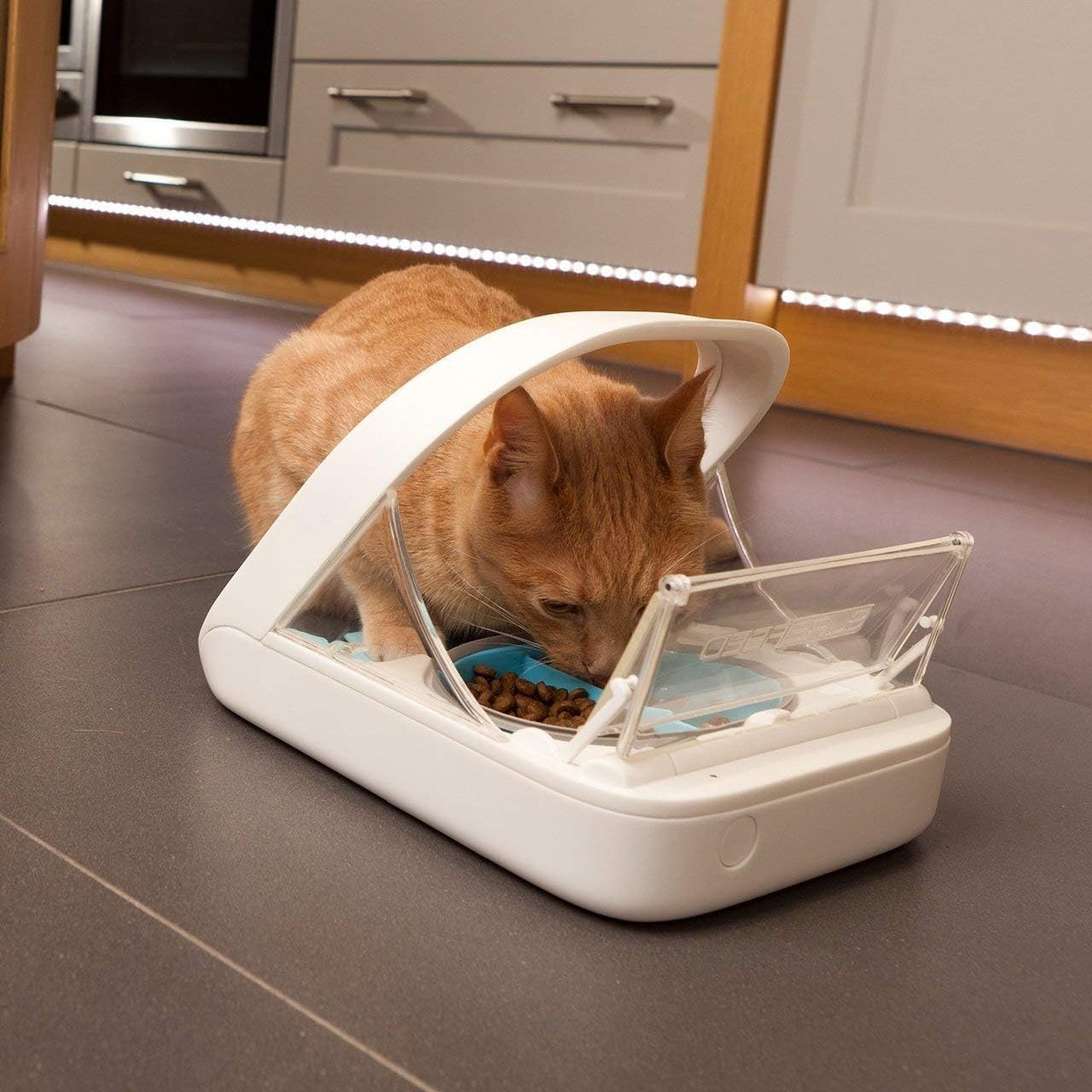 Automatic Pet Feeder-Microchip Pet Feeder- MPF001- Suitable For Both Wet And Dry Food- Bonus eOutletDeals Pet Towel