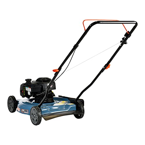 Gas Lawn Mower, 20-Inch, 125 Cc 4-Cycle Briggs And Stratton Engine, Push Lawnmower