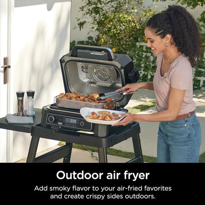7-in-1 Grill And Smoker With Thermometer, Air Fryer, Bbq, Bake, Roast, Broil- Portable Electric Outdoor Grill, Grey