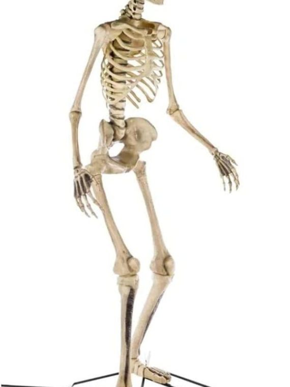 Home Accents 12 Ft. Giant-Sized Skeleton With LifeEyes NO250058