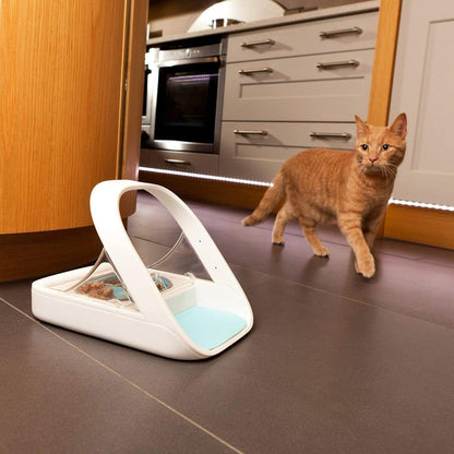 Automatic Pet Feeder-Microchip Pet Feeder- MPF001- Suitable For Both Wet And Dry Food- Bonus eOutletDeals Pet Towel