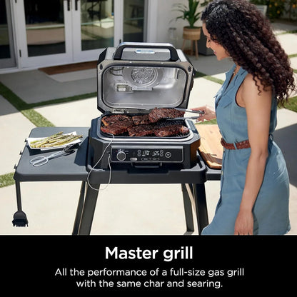 7-in-1 Grill And Smoker With Thermometer, Air Fryer, Bbq, Bake, Roast, Broil- Portable Electric Outdoor Grill, Grey