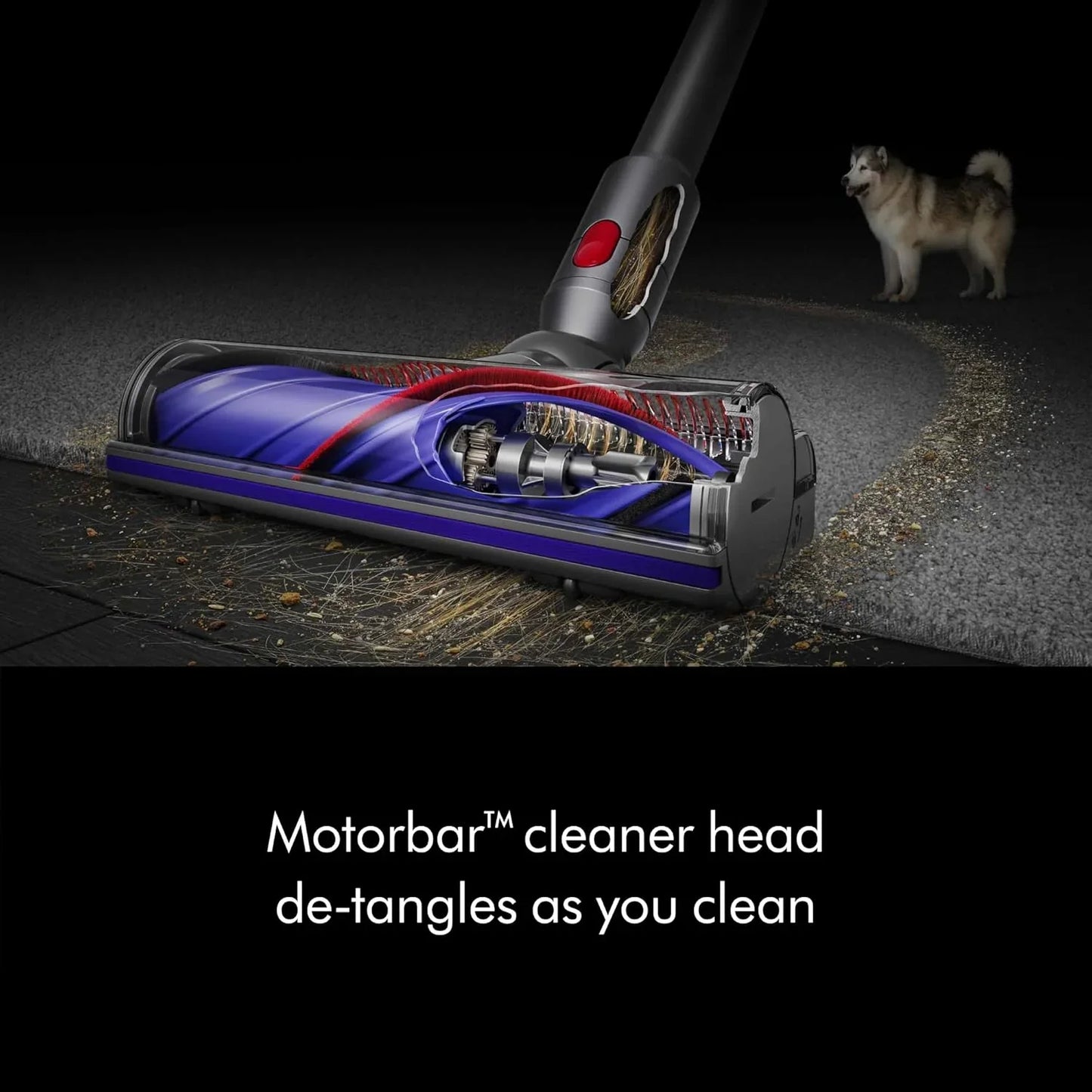 Dyson V8 Cordless Vacuum, Cleans Hard Floors And Carpets, Detangles, Converts To Handheld, 115AW, 2 Power Modes, Up To 40 Minutes鹿